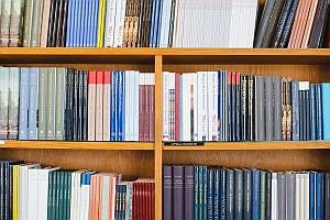 Abbildung: Bücherregal