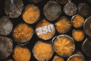 Artikelgrafik: 7 Vorteile von Möbeln aus FSC- bzw. PEFC-zertifiziertem Holz