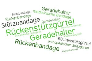 Artikelbild: ergonomische Rückenstützgürtel